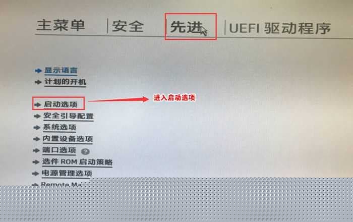 进入启动选项
