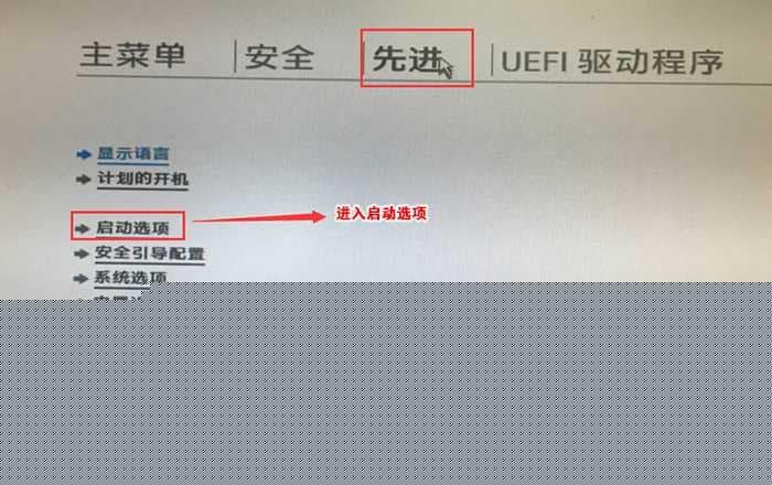 进入启动选项
