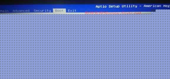 boot list optaion的模式uefi改成legacy传统模式