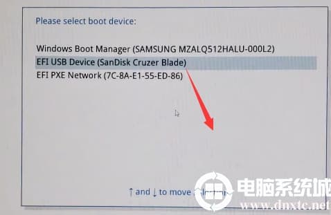 选择u盘进入pe