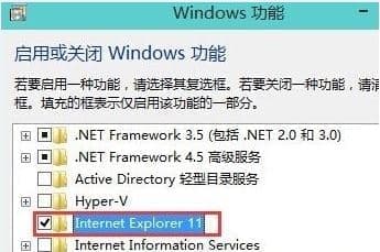 勾选Internet Explorer 11 勾选Internet Explorer 11