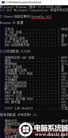 Win10网卡物理地址怎么查看