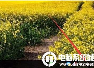 win10的飞行模式怎么快捷操作