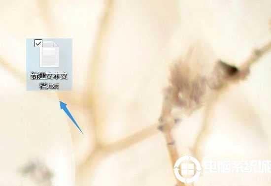 文本文档