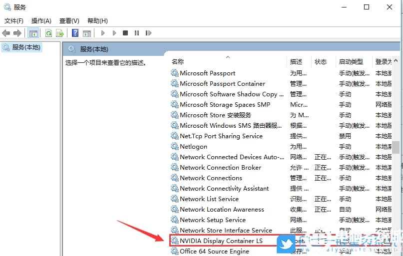 NVIDIA Display Container LS 服务