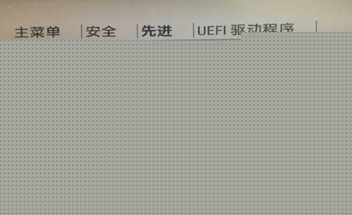 启用传统支持和禁用安全引导